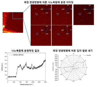 측정편광 방향에 따른 나노복합체 분광이미징 결과 (상), 편광에 따른 분광이미징에서 판별 된 나노복합체에서 측정 된 분광 스펙트럼（하,좌), 측정 편광방향에 따른 입자 발광 세기 (하, 우)