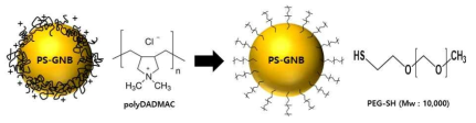 완전구형 금 나노 볼 나노구조체(PS-GNB)의 표면개질 모식도