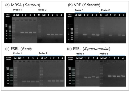 패혈증 원인균의 종을 검출을 위해 설계된 probe를 이용하여, 패혈증 항생제 내성균 정도관리용 균주의 PCR 결과. (a) MRSA (S. aureus) (b) VRE (E. faecalis) (c) ESBL (E. coli) (d) ESBL (K. pneumoniae) (M: 100bp DNA ladder (Dynebio, Korea), NC: Negative control)