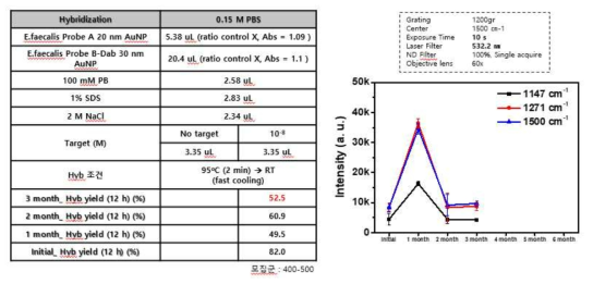 E. faecalis probe-DNA AuNPs를 이용한 시약 안정성 평가