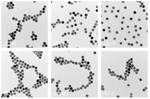 평균 20nm 크기의 완전구형 금 나노 볼의 투과전자현미경(TEM) 이미지