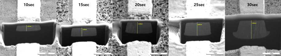 도금 공정 시간에 따라 제조된 Cu mesh 단면의 FIB 이미지