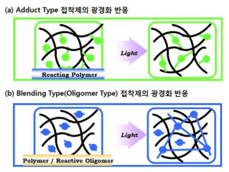 폴리머 구조에 따른 광경화 예시