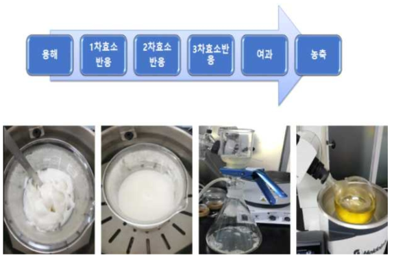 이소말토올리고당 연구소 파일럿 테스트