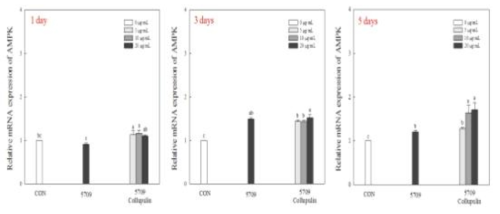 Effects of protein hydrolysate of rice syrup meal (5709) on relative mRNA expression of AMPK in C2C12 myotubes. 5709, rice syrup meal without enzyme treatment; 5709 Collupulin, after hydrolysis for 12 h with alcalase, hydrolysis with collupulin was performed for 12 h. Cells were treated for 1, 3, 5 days. Data are represented as the mean ± SD. The different letters indicate significant (p<0.05) differences by Tukey test