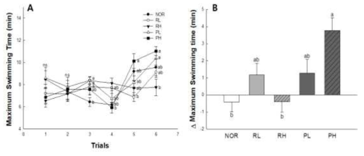 Effect of rice protein hydrolysates on maximum swimming duration(A), delta value of maxiumum swimming duration(B) in balb/C mice. NOR : normal group(distilled water), RL : 1.5 g/kg of rice syrup meal, RH : 3 g/kg of rice syrup meal, PL : 1.5 g/ kg of Hydrolysate of rice syrup meal, PH : 3 g/ kg of Hydrolysate of rice syrup meal. Data are represented as the mean ± SE. The different letters indicate significant (p <0.05) differences by Tukey