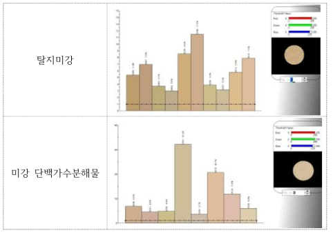 컬러 스펙트럼