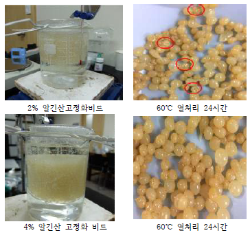 알긴산나트륨 농도에 따른 열안전성 테스트 결과