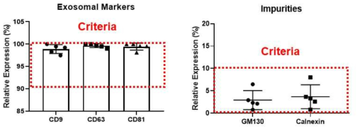 엑소좀 표면 마커 및 비엑소좀 표면 마커 분석