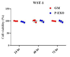 In vitro test를 통한 엑소좀의 세포 독성 평가 결과