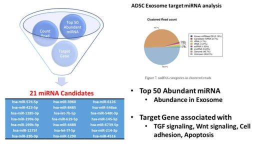 small RNAsequencing 및 빅데이터 분석을 통한 엑소좀 내 유효성분 분석