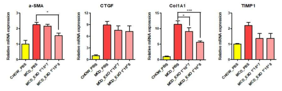 비알코올성 지방간증 모델에서 엑소좀의 효능평가: qRT-PCR