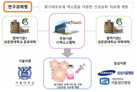 연구개발 추진체계