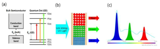 (a) 벌크 반도체와 양자점의 에너지 준위, (b)크기에 따른 양자점의 발광 파장 변화 (c) 양자점의 좁은 발광 선폭