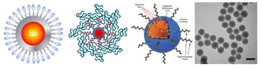 다양한 방식의 양자점 encapsulation 예시