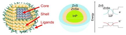 코어/쉘 구조 개요도, InP/ZnSe/ZnS 양자점의 구조와 에너지 준위