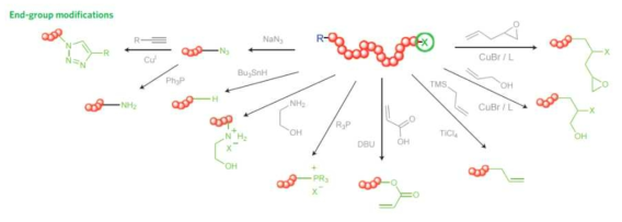 ATRP에 의해 중합된 고분자 사슬 말단에 다양한 작용기 부착