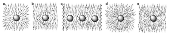 양자점 표면개질에 따른 4′-Pentyl-4-biphenylcarbonitrile(liquid crystal) 내 양자점 분산 모식도