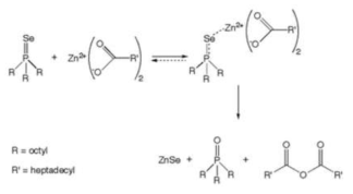 TOPSe와 Zinc carboxylate 전구체를 이용한 ZnSe 합성의 반응 개요