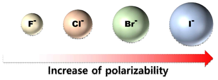 원자번호 증가에 따른 분극율의 증가