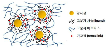 양자점/고분자 복합재료와 매트릭스 고분자 간의 가교구조 형성