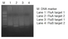 PCR products generated from influenza virus RNA(extracted from influenza A or B virus infected MDCK cell(, korea university guro hospital). Influenza virus A target 1(Lane 1), Influenza virus A target 2(Lane 2), Influenza virus B target 1(Lane 3) and Influenza virus target 2(Lane 4) was amplified at same annealing temperature(58℃) using a conventional thermal cycler (Thermo scientific, USA), M, molecular weight maker