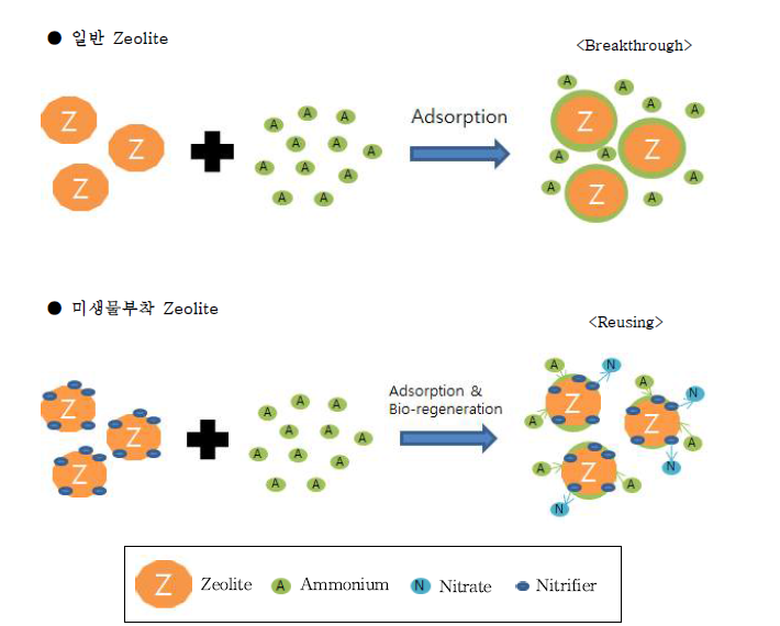 제올라이트 여재의 암모니아성 질소 흡착 및 생물학적 재생