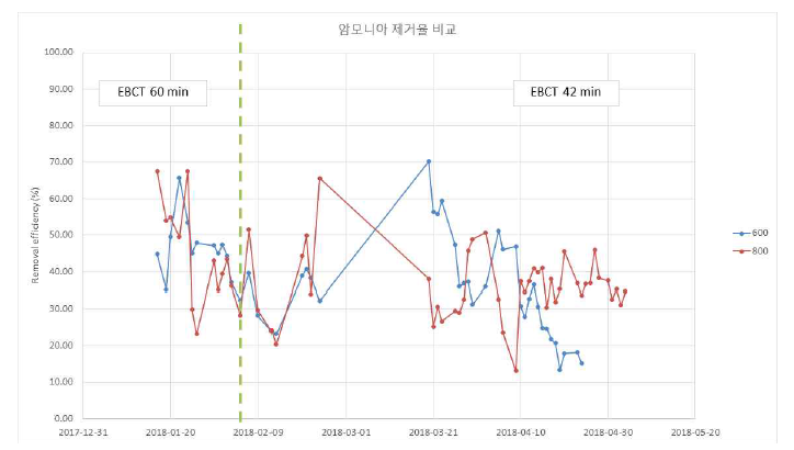 전체 운전기간 NH4 +-N 제거율 비교