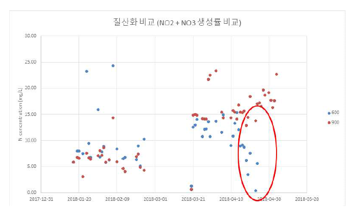 질산화 생성물 농도 비교