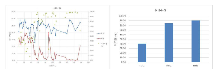 암모니아성 질소 제거 비교