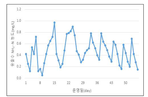 NH3-N 시간별 유출수 농도