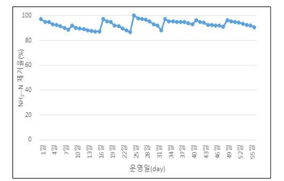 NH3-N 시간별 유출수 제거율