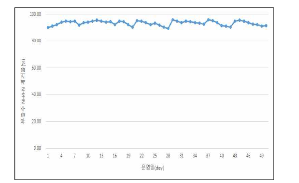 암모니아성 질소 시간별 유출수 제거율