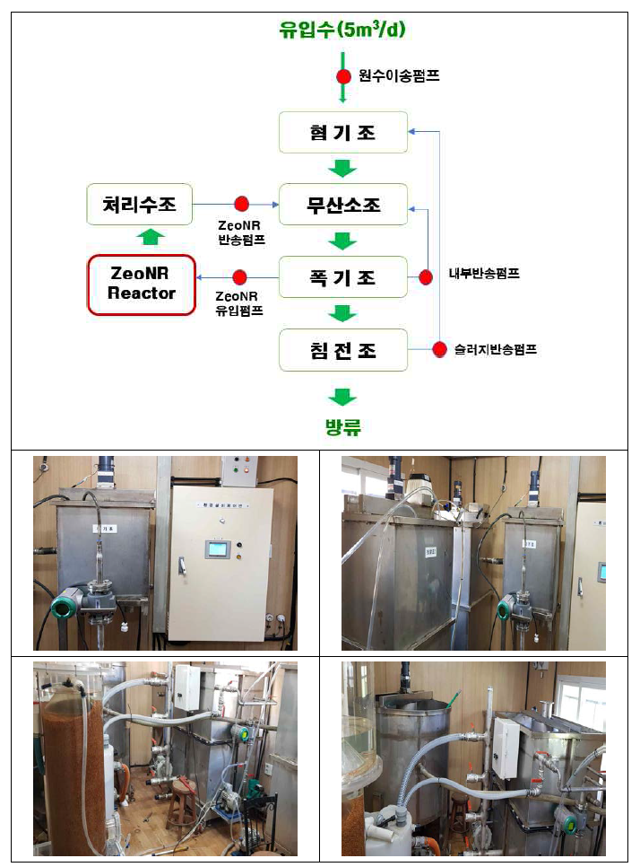 하수처리 Pilot Plant 공정도 및 설치