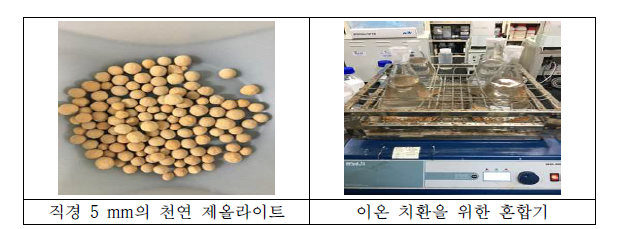 이온 치환을 위한 혼합기