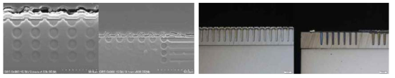 SEM Image (S社좌, W社우)