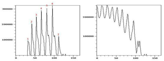 1st Edge Termination Simulation Electric Field