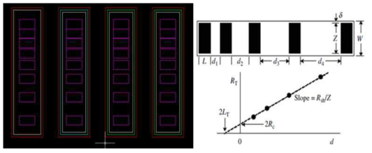 TLM Pattern Design Image