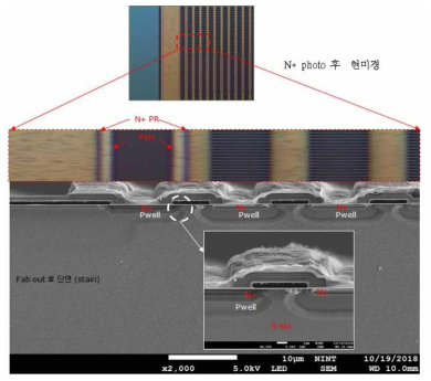 Active 영역의 끝 부분의 SEM Image