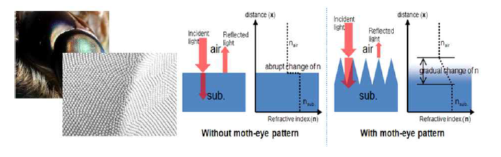 Motheye 표면 돌기 구조와 저반사 효과의 원리