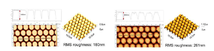 제작한 마이크로-나노 복합 구조체 마스터 스탬프의 AFM을 이용한 morphology 분석 데이터