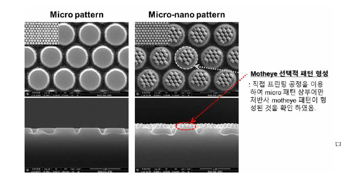 필름 상부에 복제한 기능성 마이크로-나노 구조체의 SEM 이미지