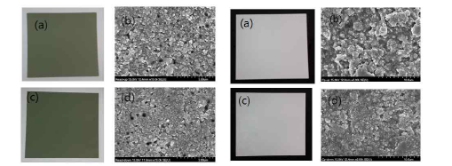 SOFC 전극 및 전해질 필름의 표면상태 관찰