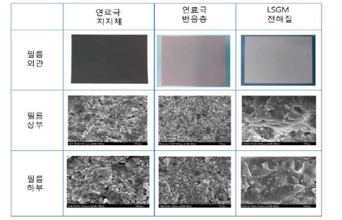 LSGM 전해질 필름의 외관 및 두께 측정