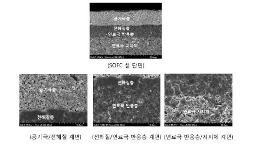 적층 공정으로 제조된 대면적 SOFC 셀의 미세구조