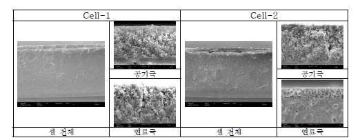 All-ceramic 전극을 적용한 코인 셀의 미세구조