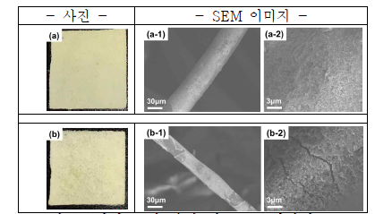 필터 코팅 사진 및 SEM 이미지