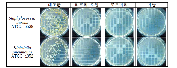 두 가지 균주에 대한 천연항균물질 코팅 필터의 항균성 측정 결과