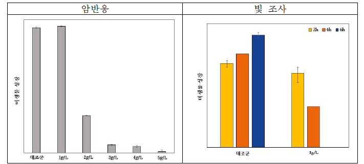 빛의 유무에 따른 농도별 BTO 자체의 항균성 측정 결과