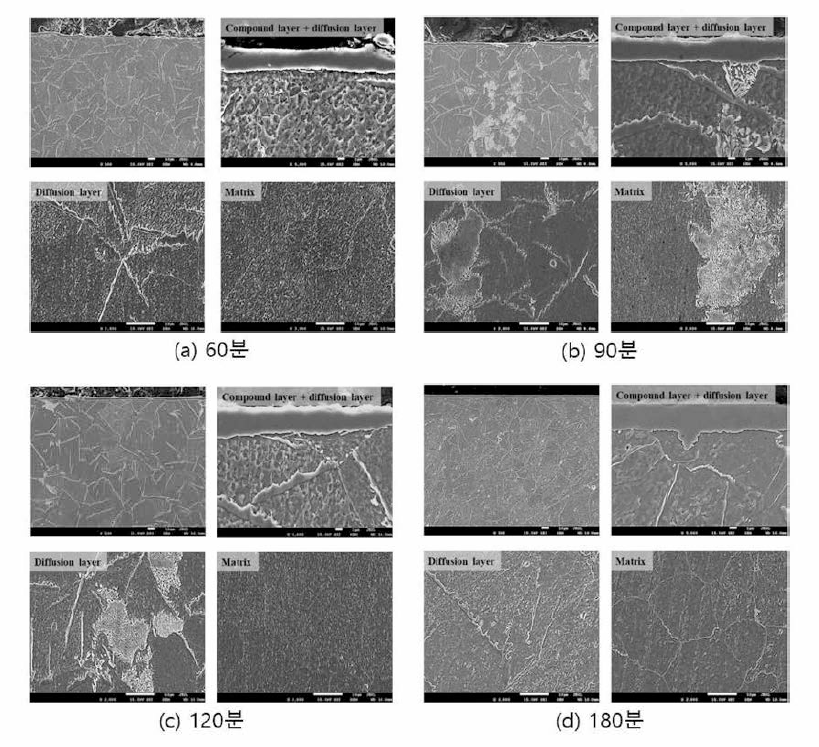 60, 90, 150, 180분 질화처리된 S10C 시편의 SEM 사진
